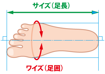 3Eとは？ムーンスター810sのサイズ感