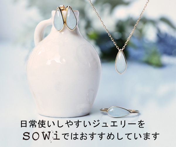 sowi アイキャッチ