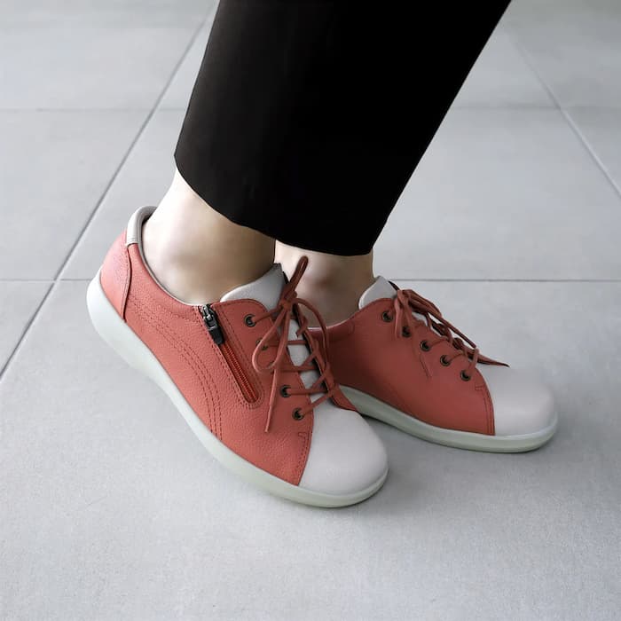 アキレス・ソルボ