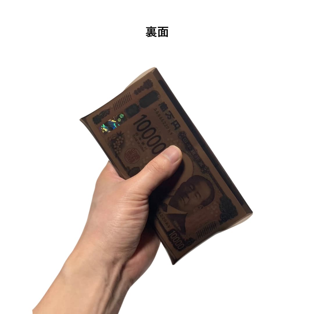 透明長財布 お札とカード専用 クリアウォレット キャッシュレス財布 背面