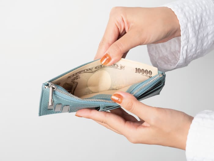 お札を折らないフラグメントケース mic