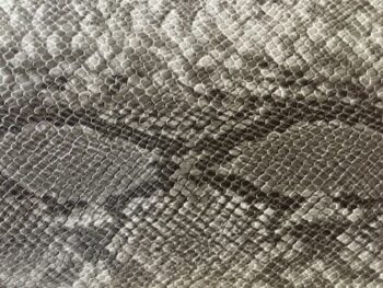 パイソン財布 デメリット 気持ち悪い