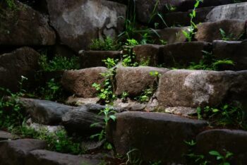 スピリチュアル パイソン財布