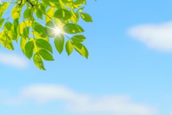 春財布とは？いつから？基本を解説