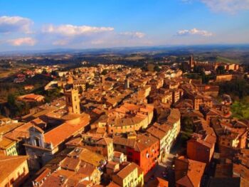 イタリア植物タンニンなめし革協会とイル・ポンテ社